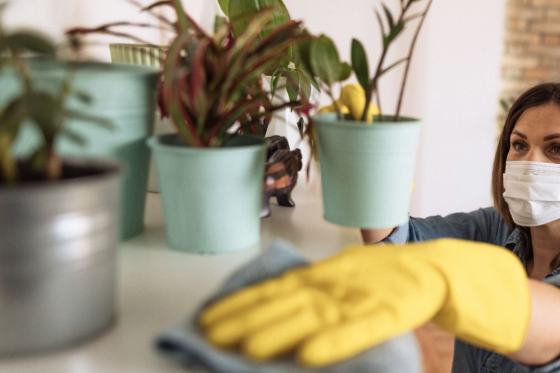 the-role-of-cleaning-in-allergy-management